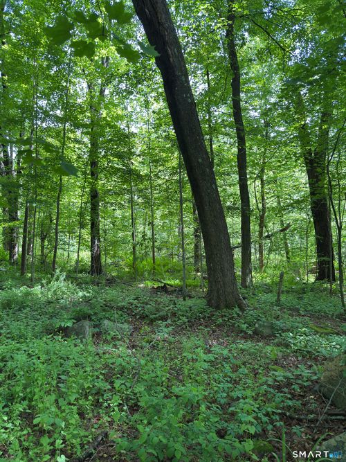 319 White Oak Trl, Winsted, CT, 06098-2854 | Card Image
