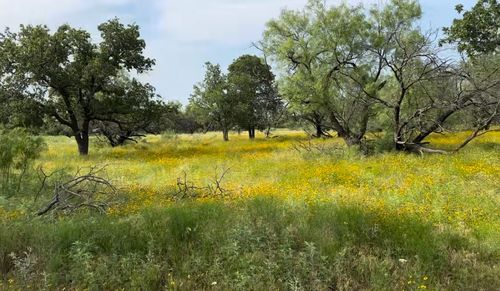 lot-1b-TBD Jayden Lane, Loving, TX, 76450 | Card Image