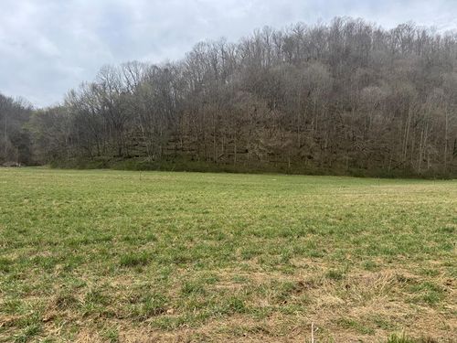 561 Pine Lick Rd, Whitleyville, TN, 38588-7321 | Card Image