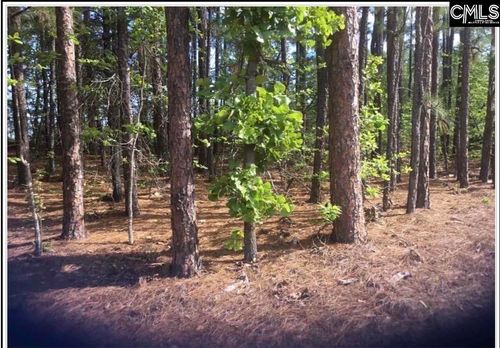 N/S Percival Road, Columbia, SC, 29229 | Card Image