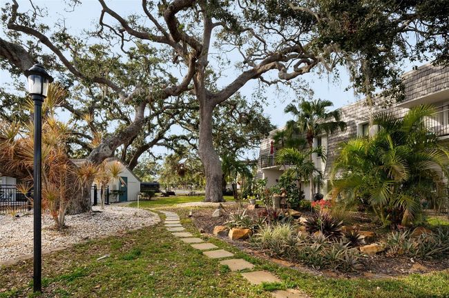 UNIT-1024 - 700 Lyndhurst St, Condo with 2 bedrooms, 2 bathrooms and null parking in DUNEDIN FL | Image 68