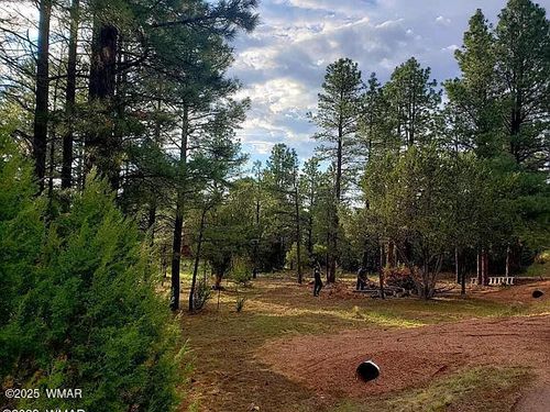 2974 Lookout Ln, Overgaard, AZ, 85933-4100 | Card Image