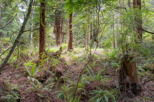 32100 Forest Ln, Fort Bragg, CA, 95437-8418 | Card Image