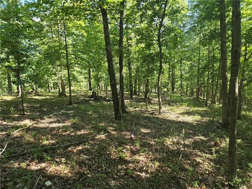 Lot 7 Esculapia Hollow Rd, Rogers, AR, 72758 | Card Image