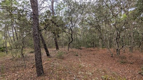 120 & 122 North Carolina Drive, Satsuma, FL, 32189 | Card Image