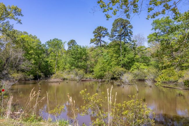 Property view of water with a forest view | Image 36