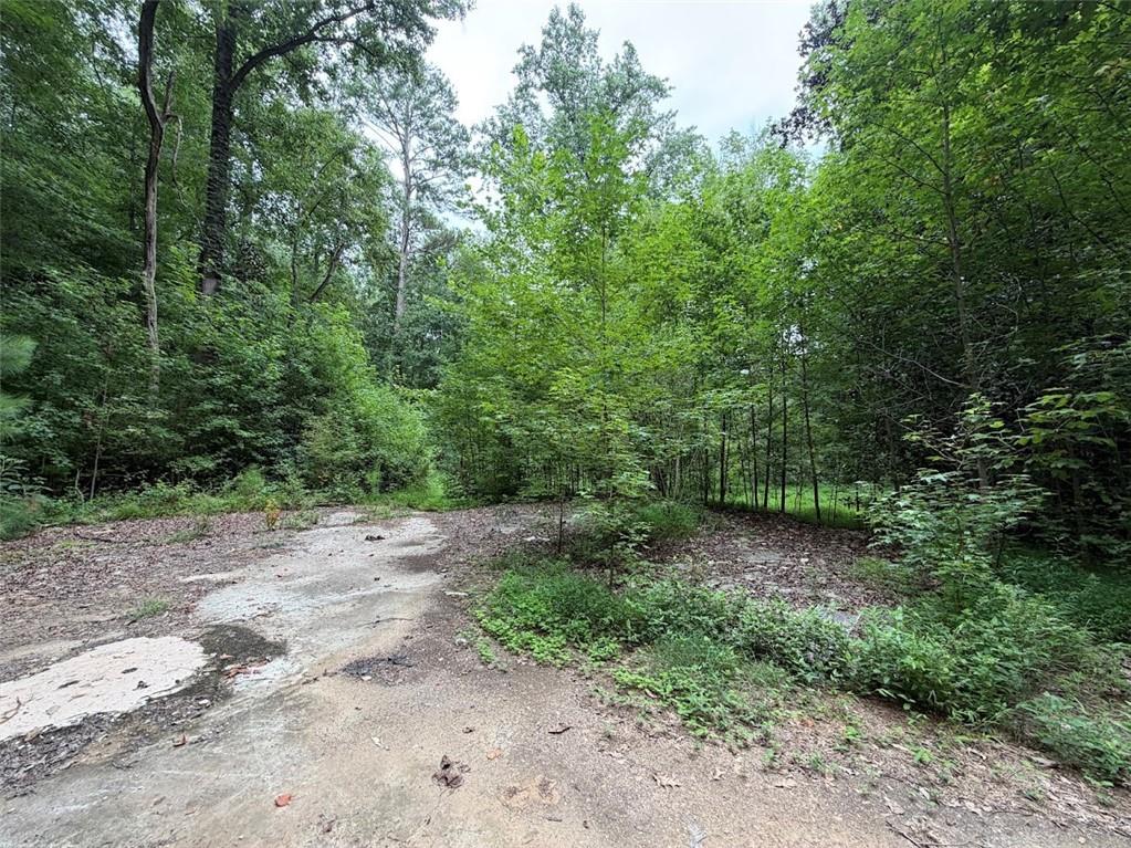 Land in Ellenwood 4
