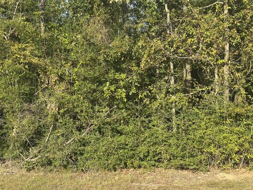 0 Magnolia Dr, Onalaska, TX, 77360 | Card Image