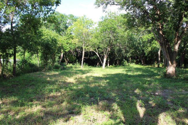 View of yard | Image 6