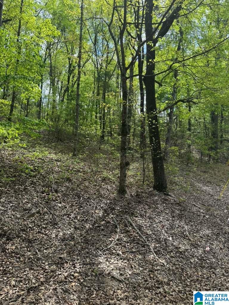 Land in LAKEVIEW 2