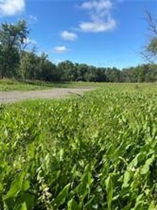 15400 Dubuque Pl, Carlisle, IA, 50047 | Card Image