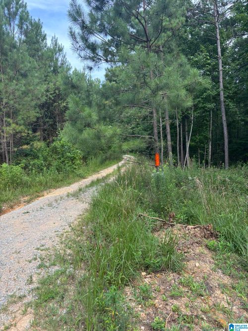 tract-2-00 Union T Road, Talladega, AL, 35160 | Card Image