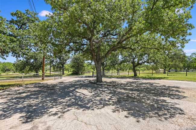 Surrounding community featuring driveway | Image 26