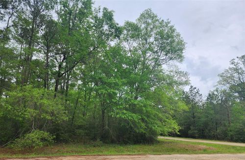 TBD Cloverdale, Livingston, TX, 77351 | Card Image