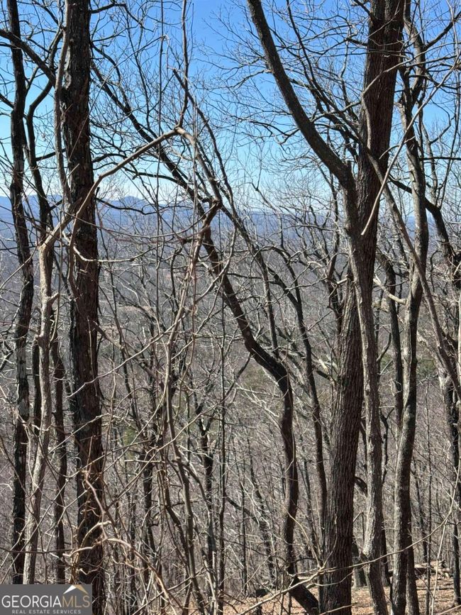 7349 Starlight Ln, Home with 0 bedrooms, 0 bathrooms and null parking in Jasper GA | Image 5