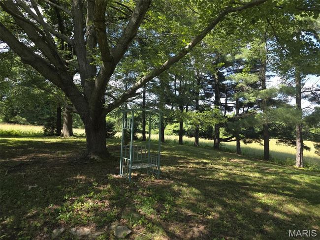 View of green lawn | Image 15