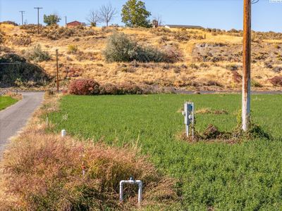 483-ACRES-IRRIGATED - 57007 N River Road, Home with 0 bedrooms, 0 bathrooms and null parking in Benton City WA | Image 3