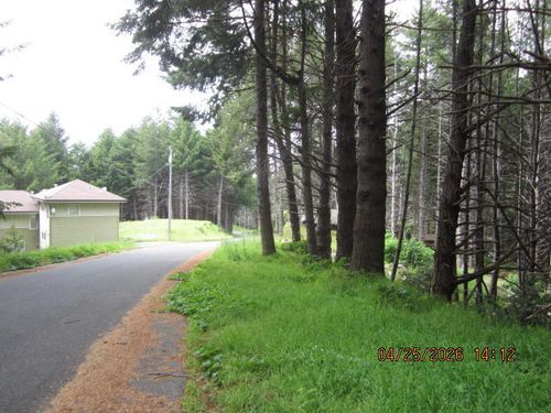 313 Ridge Road, Shelter Cove, CA, 95589 | Card Image