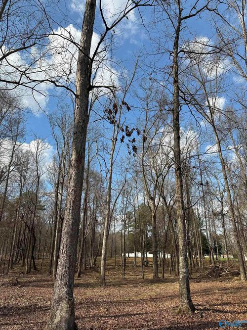 2.5 acres Ghost Hill Road, Trinity, AL, 35603 | Card Image