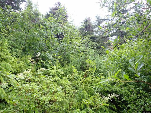 lot-3c-kanalku-view-Lot 3C Killisnoo Rd, Angoon, AK, 99820 | Card Image