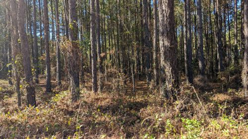 541 Bent Knee Rd, Keysville, GA, 30816-4775 | Card Image