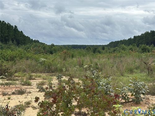 0 Mckenney Hwy, Mc Kenney, VA, 23872 | Card Image