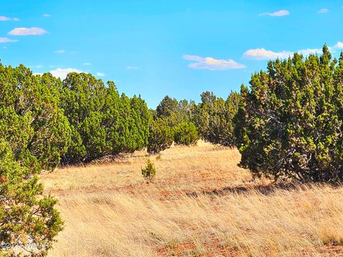 20 County Rd, Concho, AZ, 85924 | Card Image