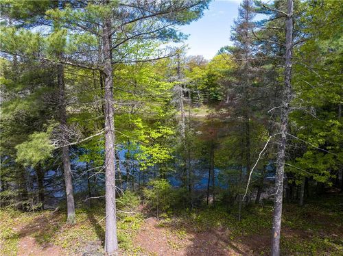 18.29 Acres Tri Lakes Road, DRUMMOND, WI, 54832 | Card Image