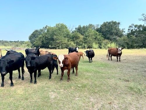 TBD County Road 601, Teague, TX, 75860 | Card Image