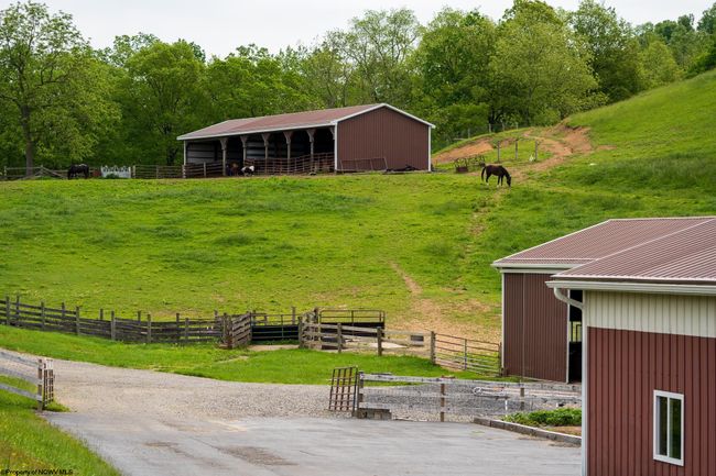 5698 Morgantown Pike, Home with 4 bedrooms, 2 bathrooms and 3 parking in Belington WV | Image 10