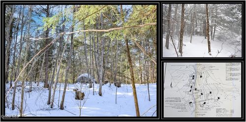 37 Carriage Knolls Rd, Chestertown, NY, 12817-2829 | Card Image