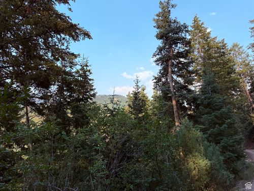 a39-39 Pine Creek Rd, Mount Pleasant, UT, 84647 | Card Image
