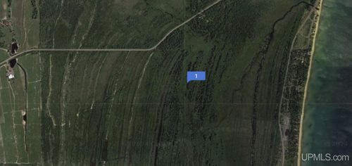 TBD Near Rice Lake &Amp; Big Traverse Bay Rds Road, Lake Linden, MI, 49945 | Card Image