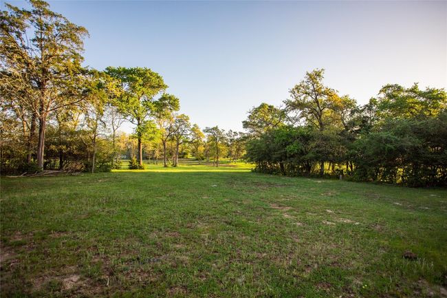 View of grassy yard | Image 5