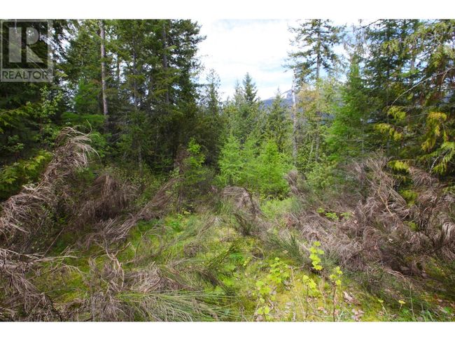 434 Lexington Ave, Home with 0 bedrooms, 0 bathrooms and null parking in Procter BC | Image 36