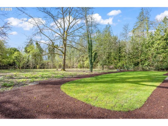 Yard-Back | Image 34
