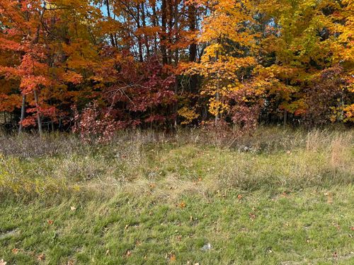 VL E M-113, Fife Lake Township, MI, 49633 | Card Image
