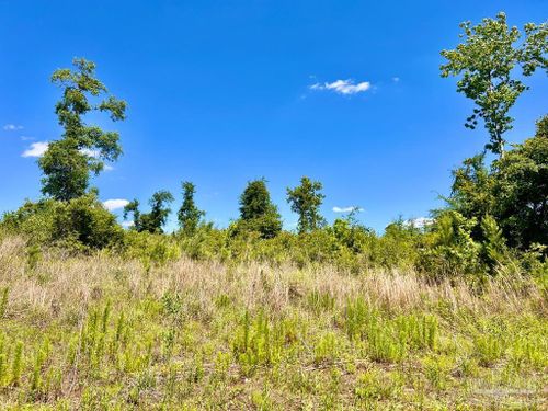 7 Cotton Lake Rd, Molino, FL, 32577 | Card Image