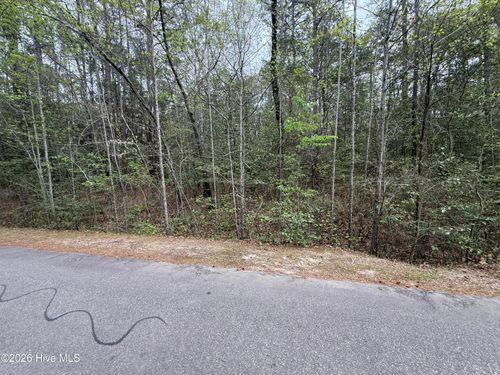 362 Thimbleberry Dr, Vass, NC, 28394-8239 | Card Image