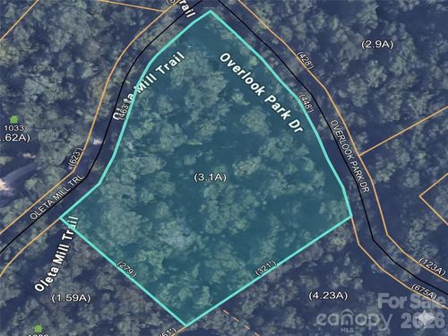 49-1034 Oleta Mill Trl, Hendersonville, NC, 28792-4416 | Card Image