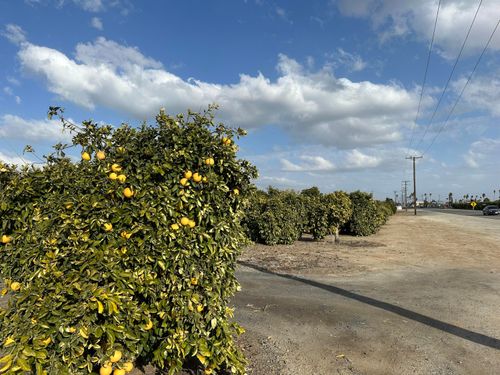 65 State Highway 65, Terra Bella, CA, 93270 | Card Image