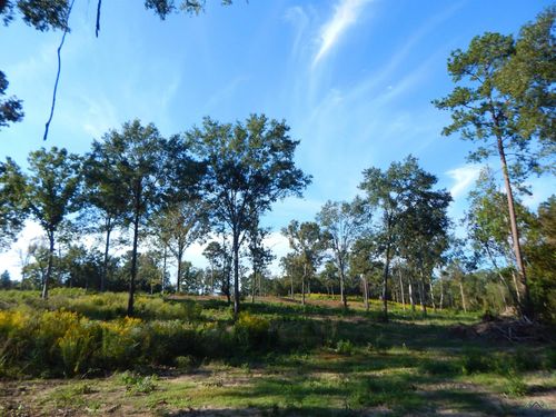 TBD 7.57 ACRES Hwy 259, Ore City, TX, 75683 | Card Image