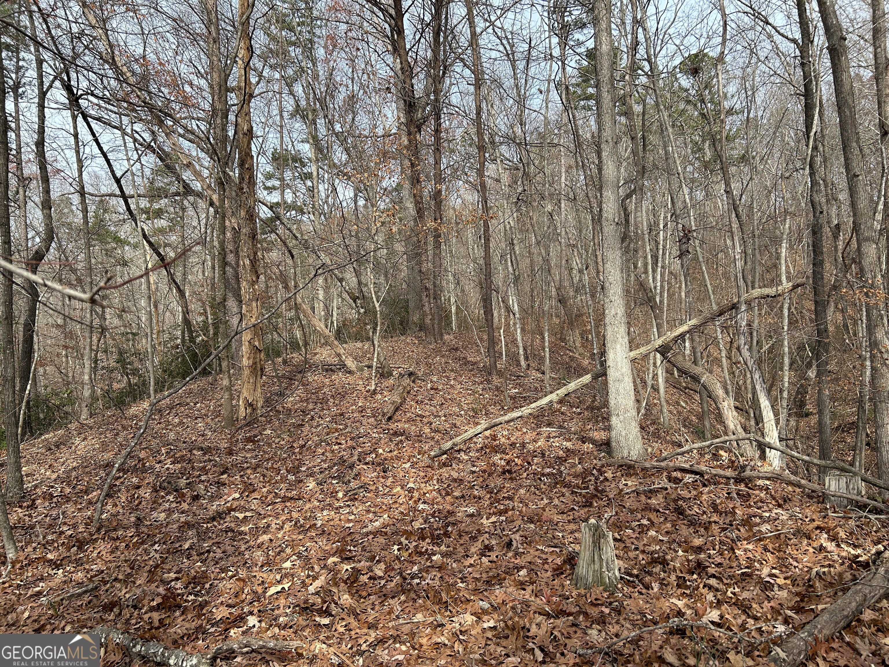 Land in Baldwin 5