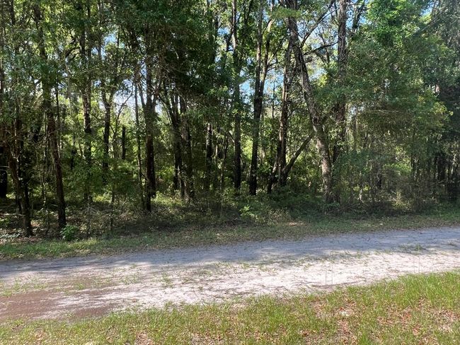 Lot 1 Old Wire Rd, Home with 0 bedrooms, 0 bathrooms and null parking in FORT WHITE FL | Image 17