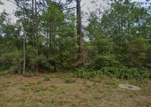 124 Roebuck St, GEORGETOWN, FL, 32139-2236 | Card Image