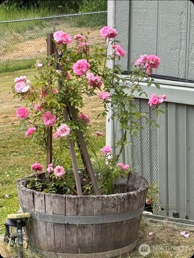 930 Tipsoo Loop N, House other with 2 bedrooms, 2 bathrooms and 2 parking in Rainier WA | Image 35