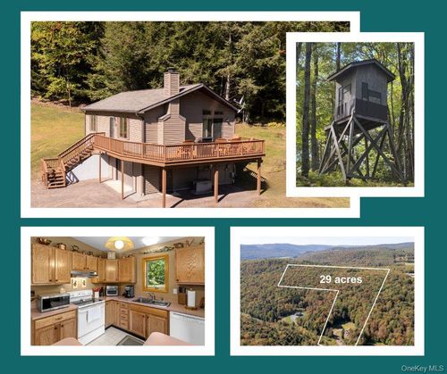 815 Covert Hollow Rd, Hamden, NY, 13782-1430 | Card Image