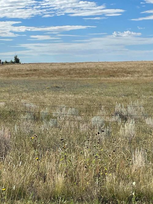 30 Roach Rd, Stanley, NM, 87056-9752 | Card Image