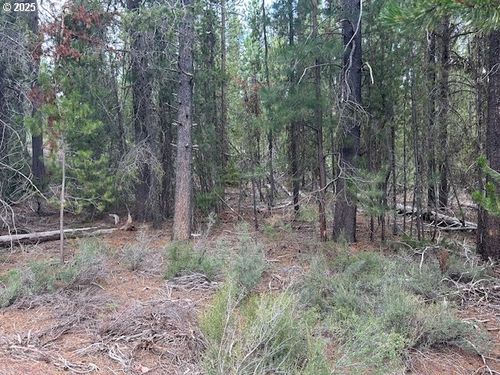 400 Willamette Hwy, Crescent Lake, OR, 97733 | Card Image