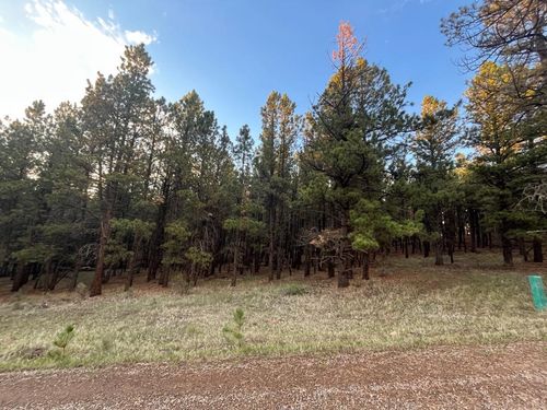 20 Valley Rd, Angel Fire, NM, 87710-0000 | Card Image